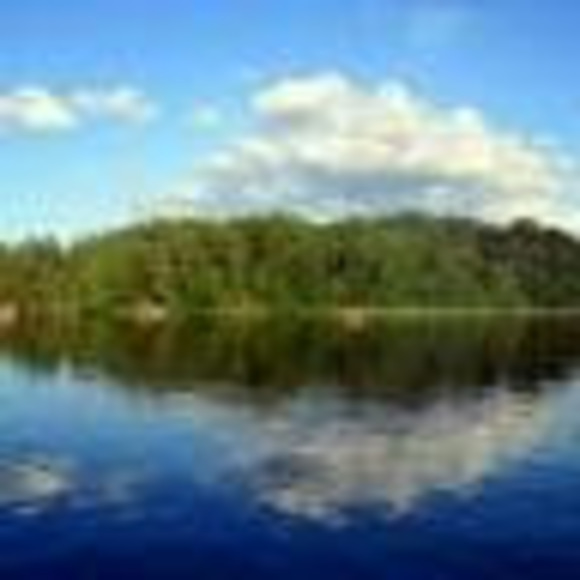 Meet your Posher, Iris - Picture 1 of 1